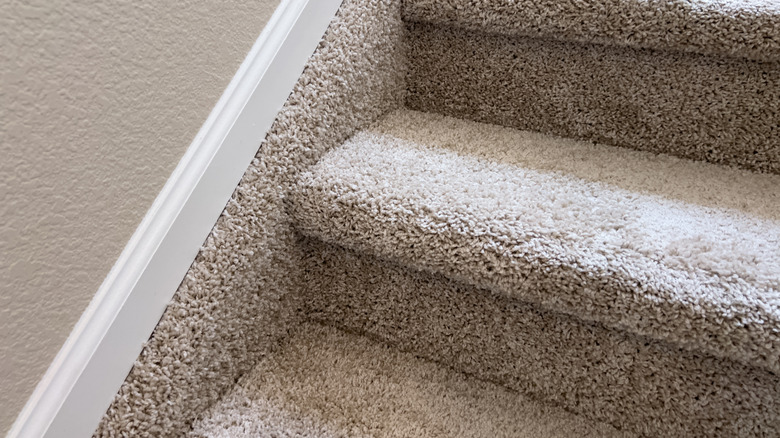 Close-up of residential stairs covered in beige carpet.