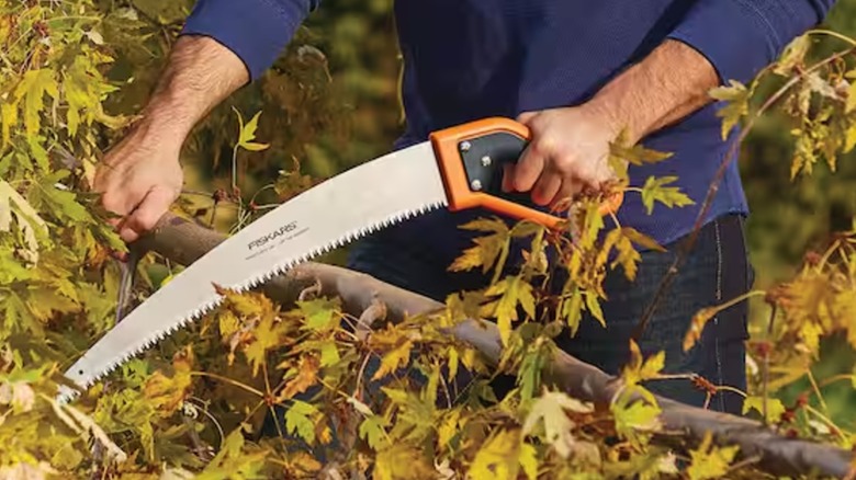 cutting branch with Fiskars pruning saw