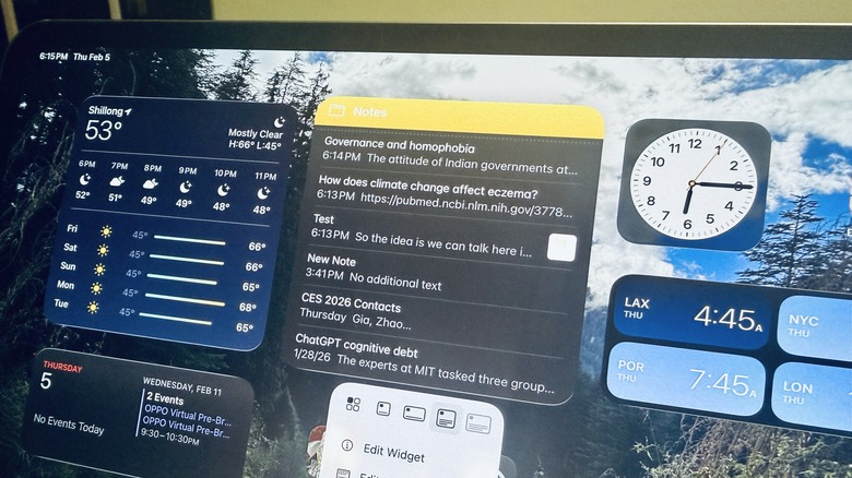 Apple Notes widget on iPad.