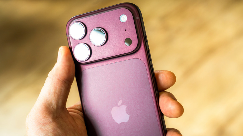 Hand holding a burgundy iPhone 18 Pro.