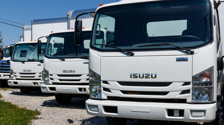 Isuzu trucks