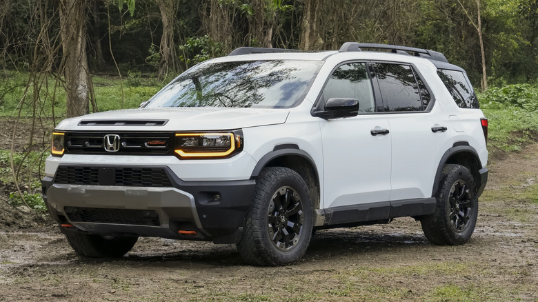 A white 2026 Honda Passport parked in a wooded area