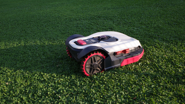 Red robot mower cutting grass