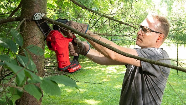 A person using a Craftsman chainsaw on a tree.