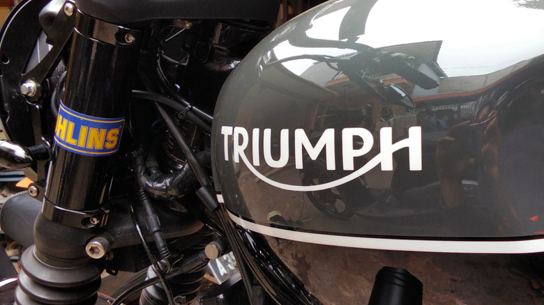 Close-up of Triumph logo on gas tank.
