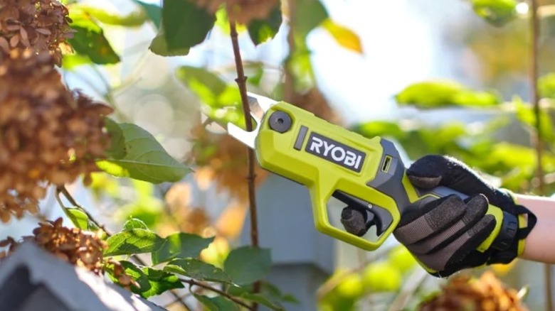 Using the Ryobi USB Lithium pruning shears around the garden.