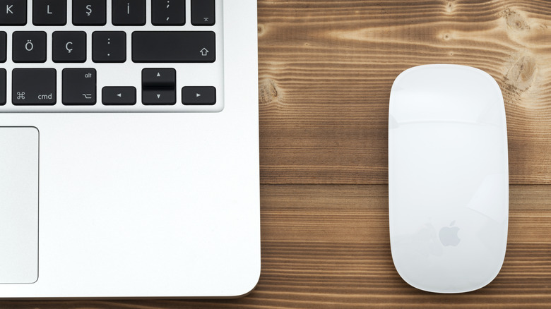 4 Of The Best Computer Mice For Your Mac Ranked