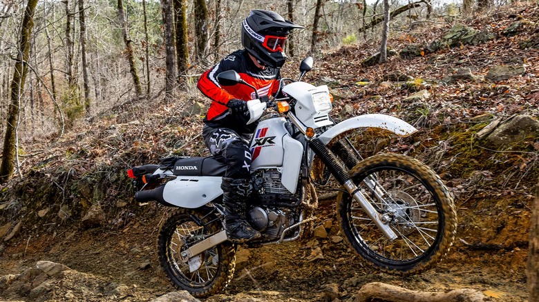 Dual sport bikes hotsell
