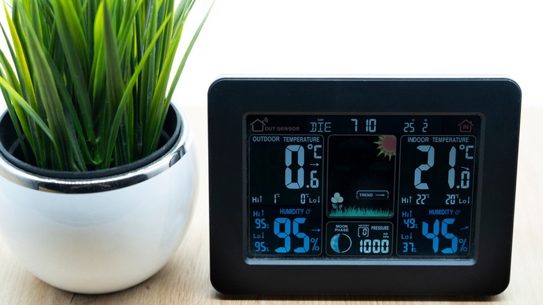 A home weather station display screen on a table next to a houseplant.