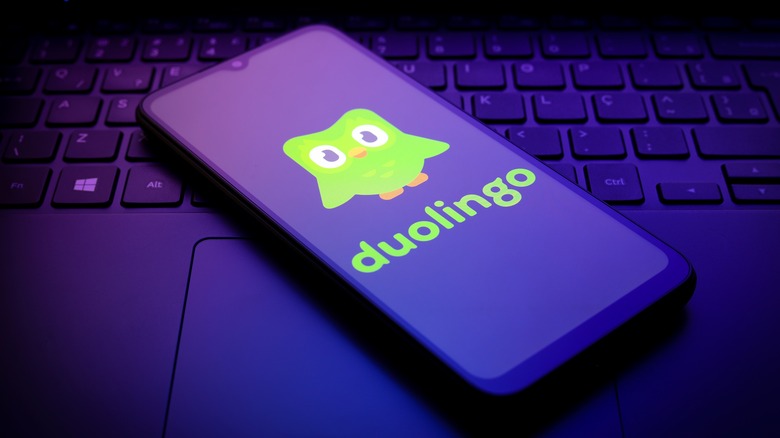A smart phone showing the Duolingo owl and the word 