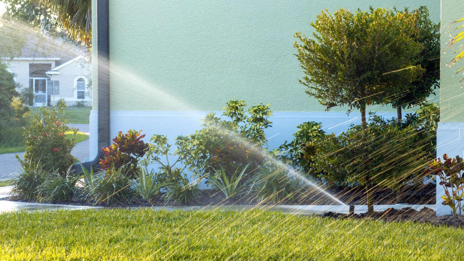 4 Of The Best Smart Sprinkler Controllers You Can Buy