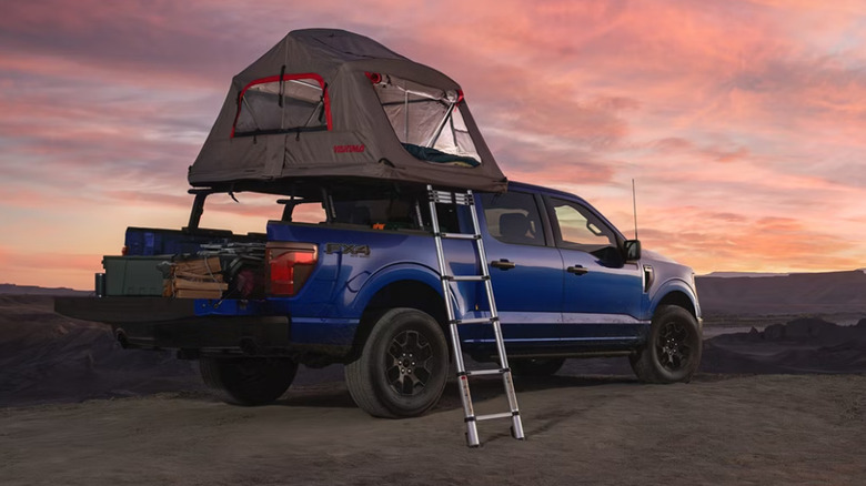 ford f-150 camping