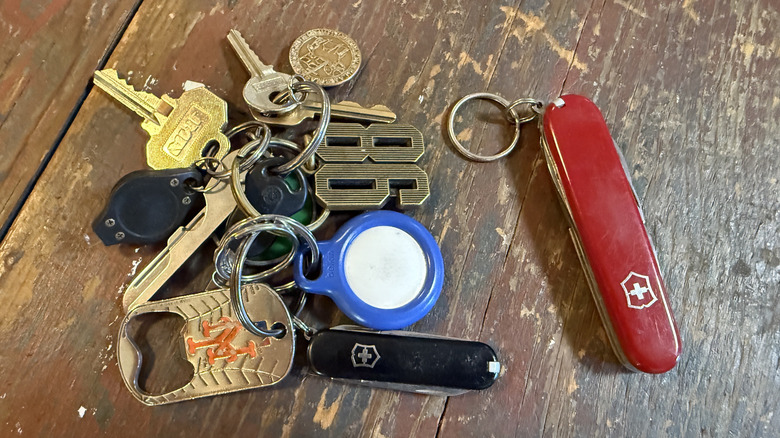 Classic SD Pocket Knife attached to keys with medium-sized Tinker beside it