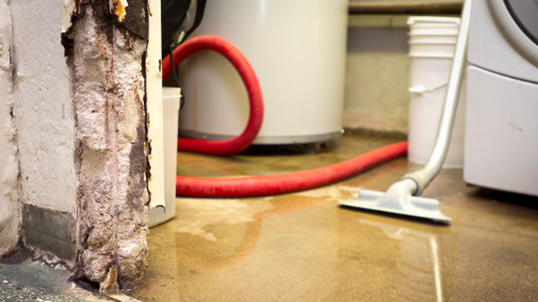 Wet vac sucking up water in a flooded basement