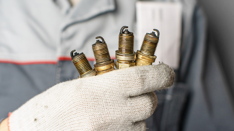 A mechanic holding four spark plugs.