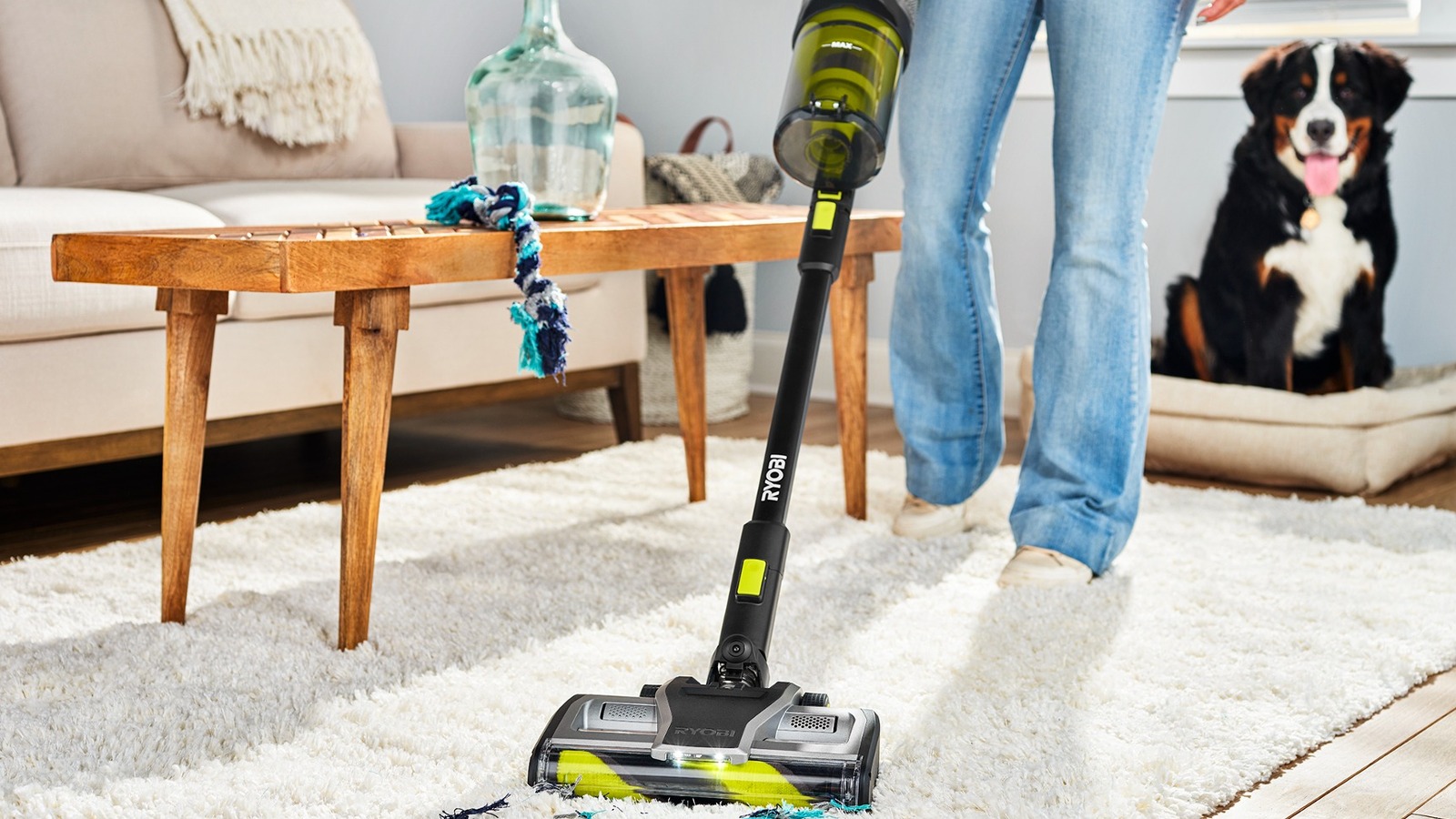 4 Ryobi Products To Help Clean Up After Your Pets - Vimarsana News