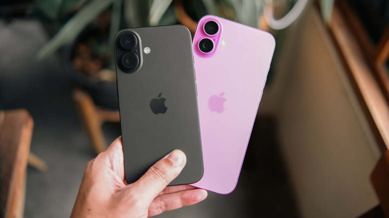 back of iPhone