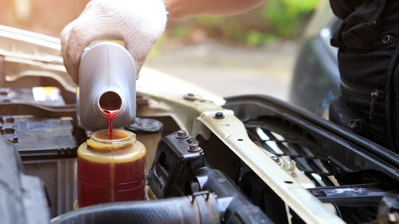 person filling power steering reservoir