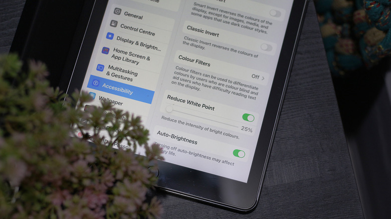 Display settings on iPad