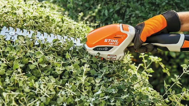 A closeup image of a person using a Stihl HSA 26 mini hedge trimmer
