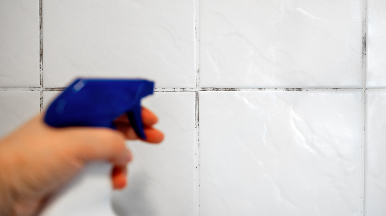 Hand squirting cleaner onto a white tile wall