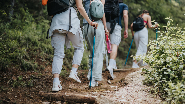 Group of friends walking through trail