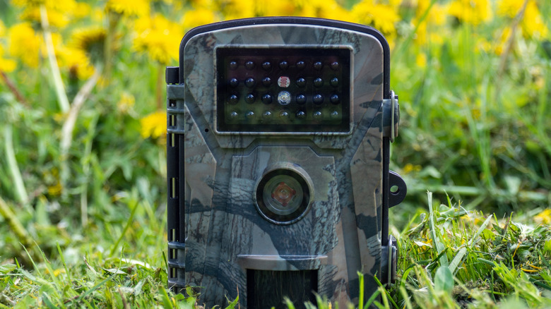 Hunting trail camera sitting in grass