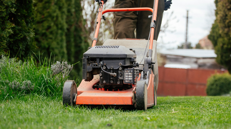 A person pushing a lawn mower over the grass