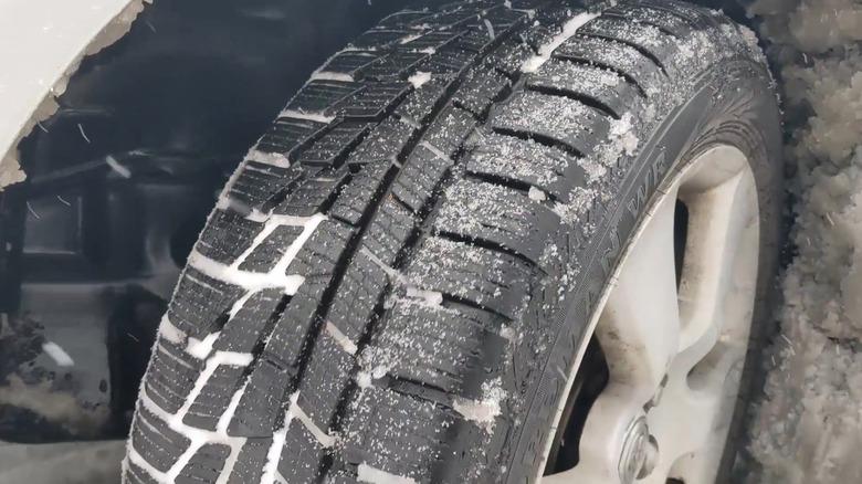 A Nordman tire full of snow.