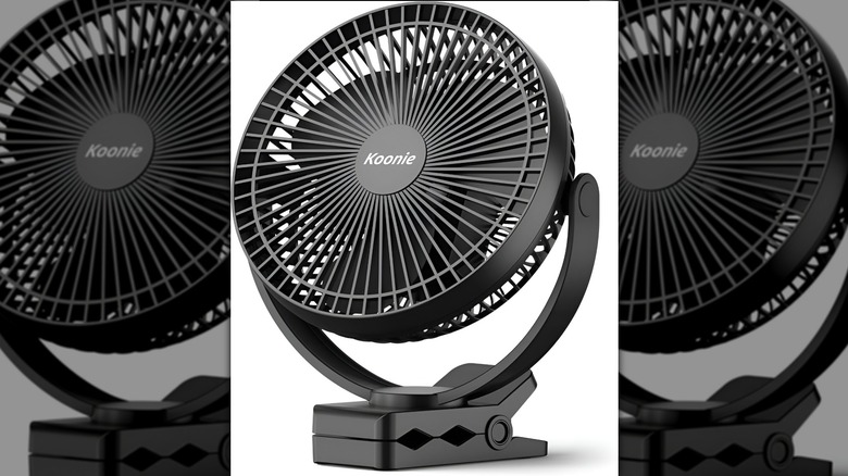 Koonie fan on white background