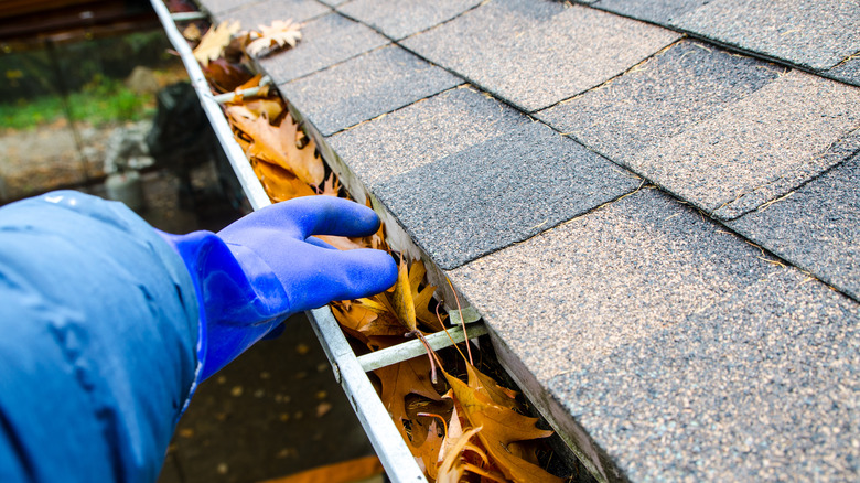 person reaching into a gutter