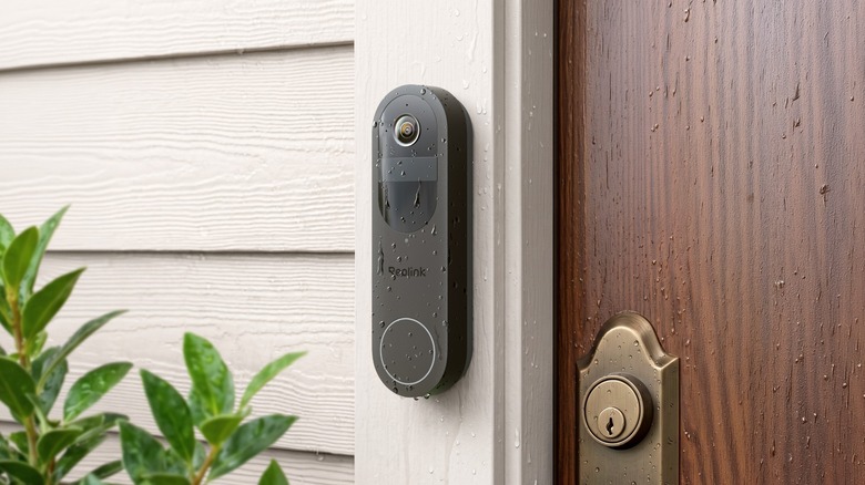 Reolink doorbell under rainy conditions