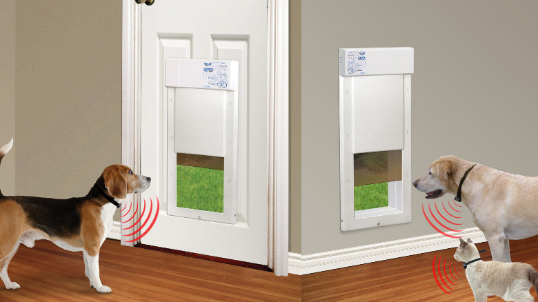 Dogs and cats in front of two High Tech Pet's Wi-Fi Pet Door.