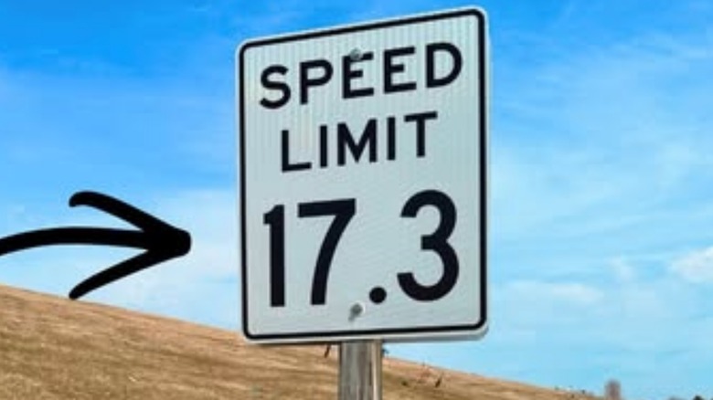 A sign displaying a 17.3 mph speed limit.
