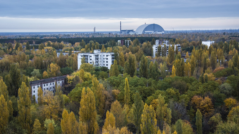 An ariel view showing apartment buildings amidst the forests in Chernobyl. In the background, the New Safe Confinement structure sitting over reactor 4 can be seen.