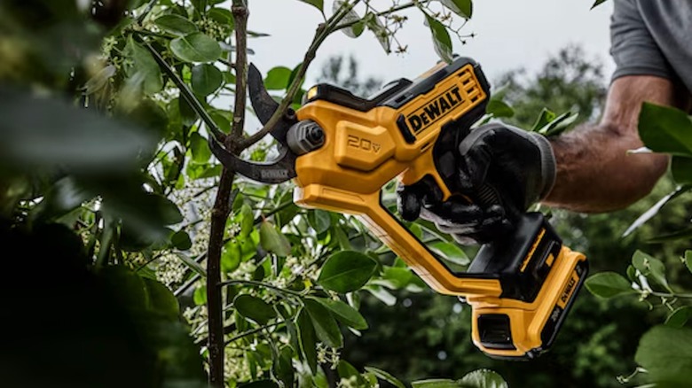 DeWalt 20V Cordless Pruner in use