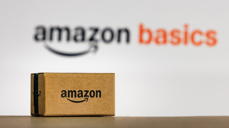 Brown Amazon packet on a shelf with the Amazon Basics logo on the wall in the background