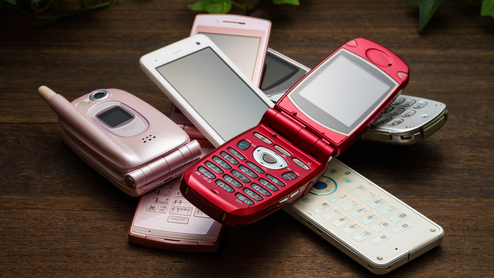 5 Affordable And Practical Flip Phones To Use In 2024