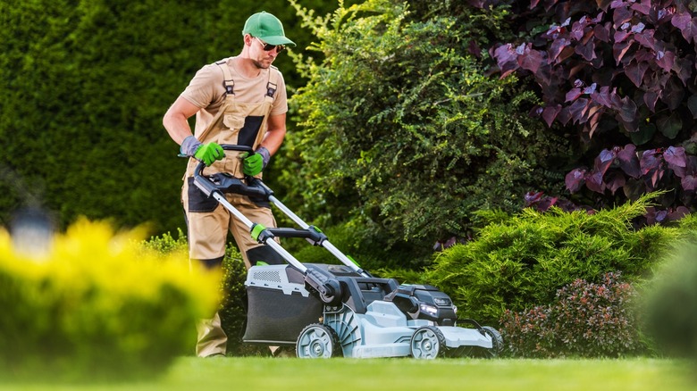 person using lawn mower