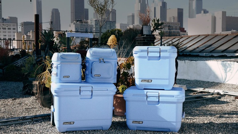 coleman pro cooler lineup stacked together