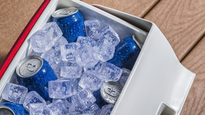 blue cans in a cooler with ice