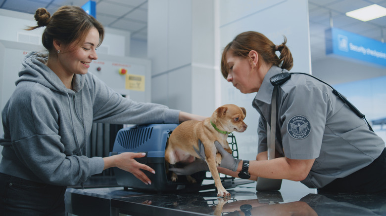 TSA employee helping woman take small dog out of carrier