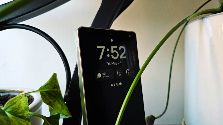 Samsung Galaxy S25 Ultra posed on shelf with plants