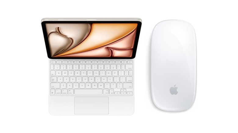 Magic Keyboard for iPad and Magic Mouse
