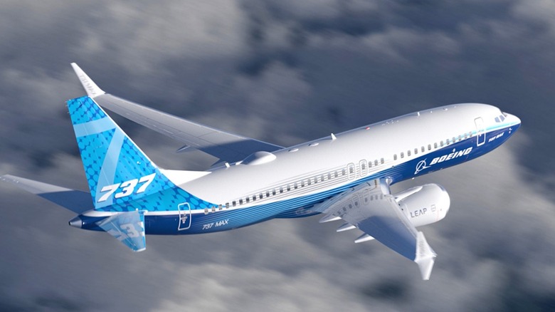 Boeing 737 Max in flight