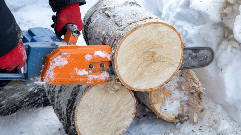 Chainsaw cutting round wood log
