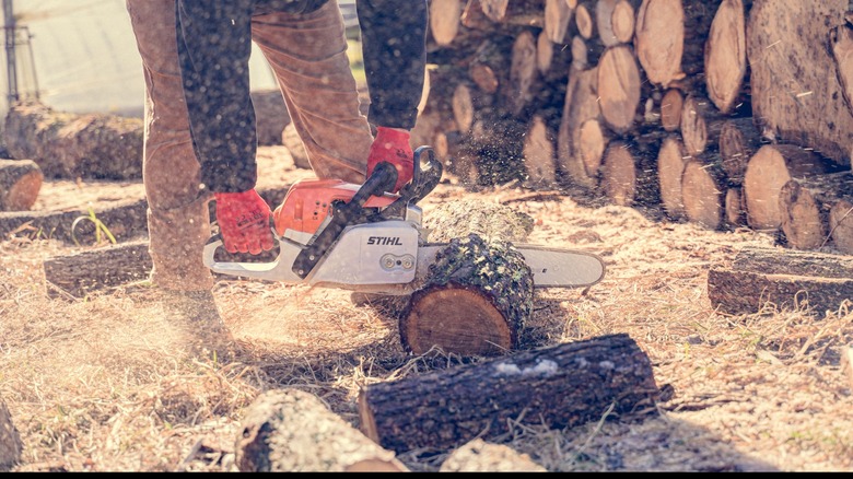 cutting firewood with a Stihl chainsaw