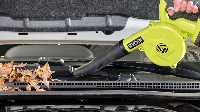 Ryobi blower cleaning car