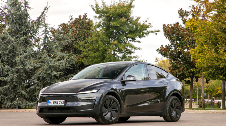 Black Tesla car overlooking a park