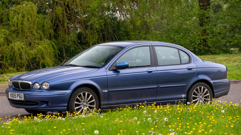 Jaguar X-Type on road behind dandelion field, left-side view